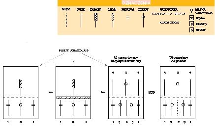 Gospodarka wędrowna w ulach styropianowych w warunkach Dolnego Ślaska cz.ΙΙ